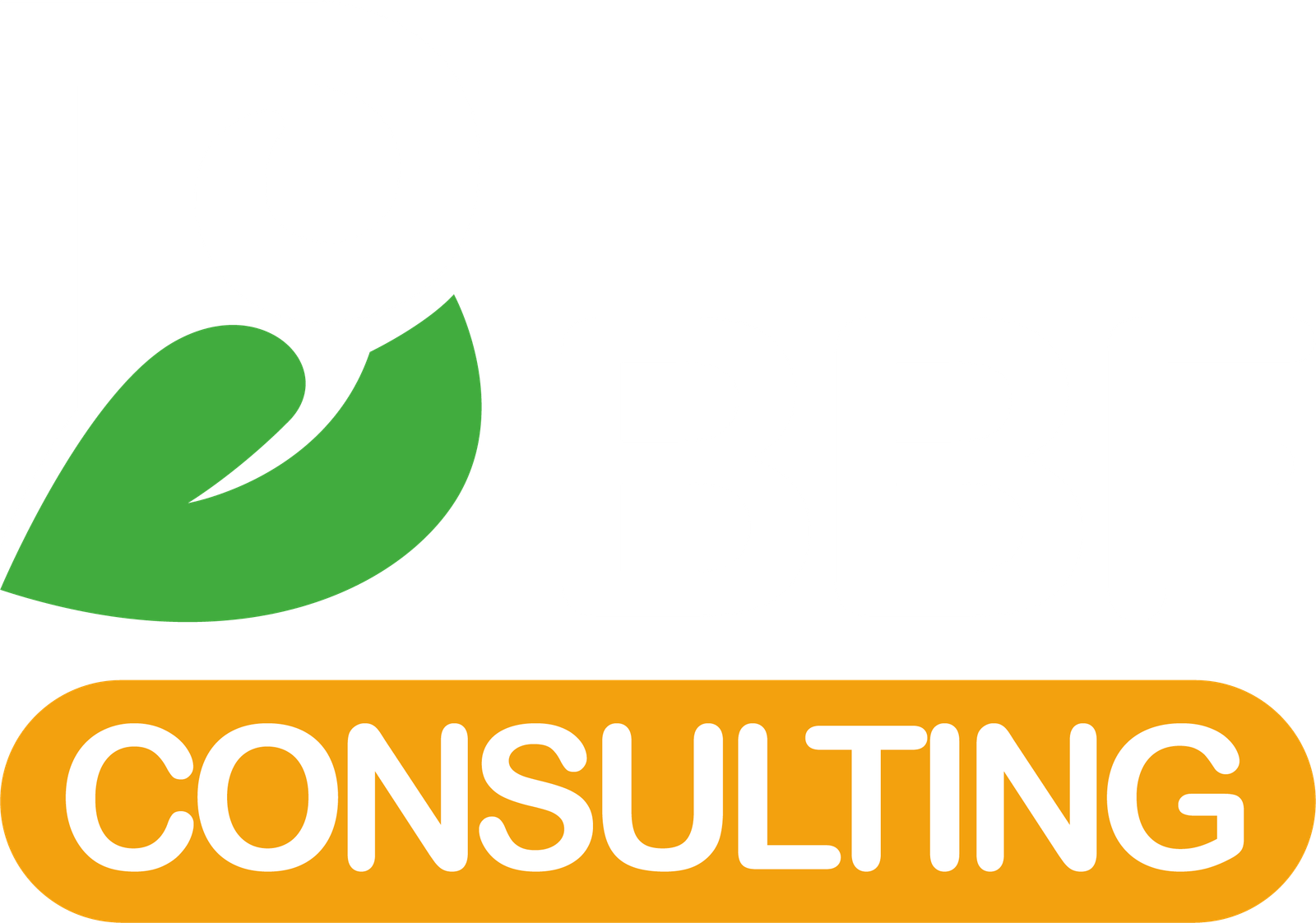 BBF CONSULTING Sarl