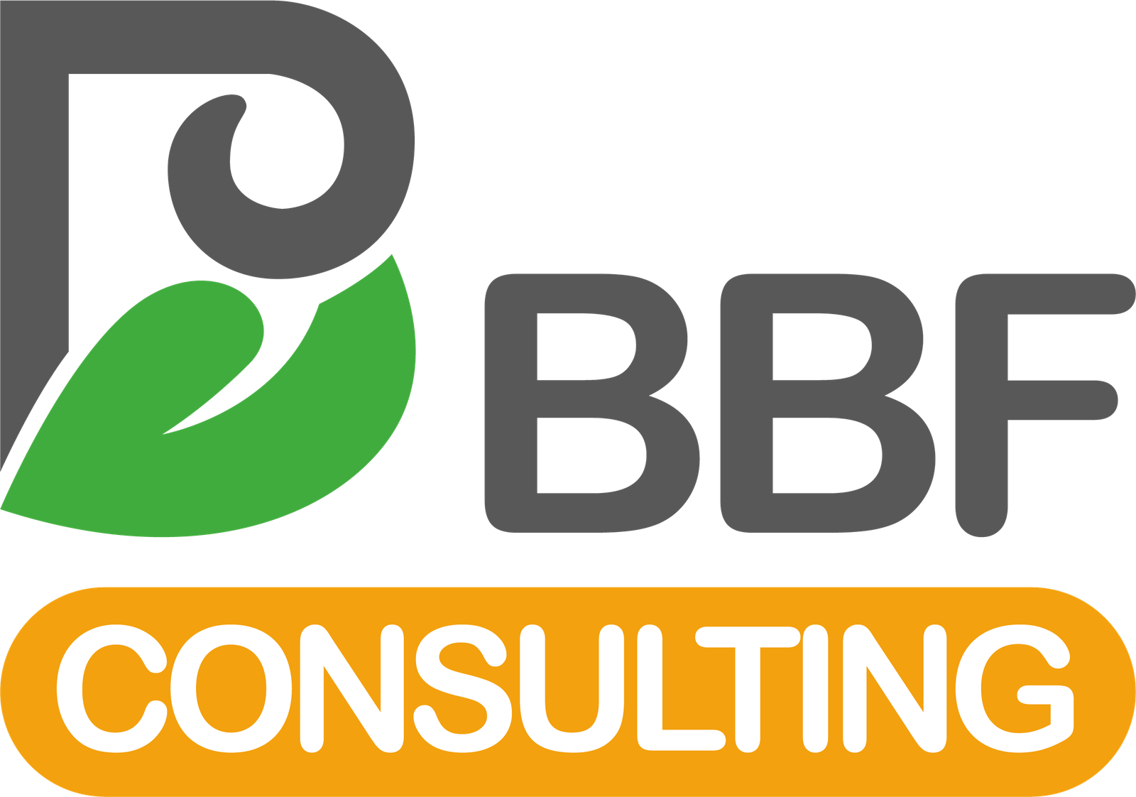 BBF CONSULTING Sarl